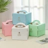 individual cupcake packaging boxes