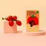 Gift Window Boxes Wholesale