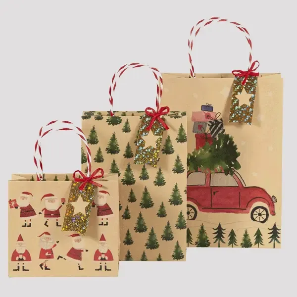 Custom Christmas Paper Bag