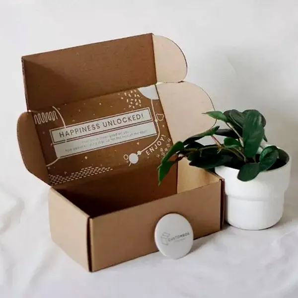 Kraft Apparel Packaging Boxes