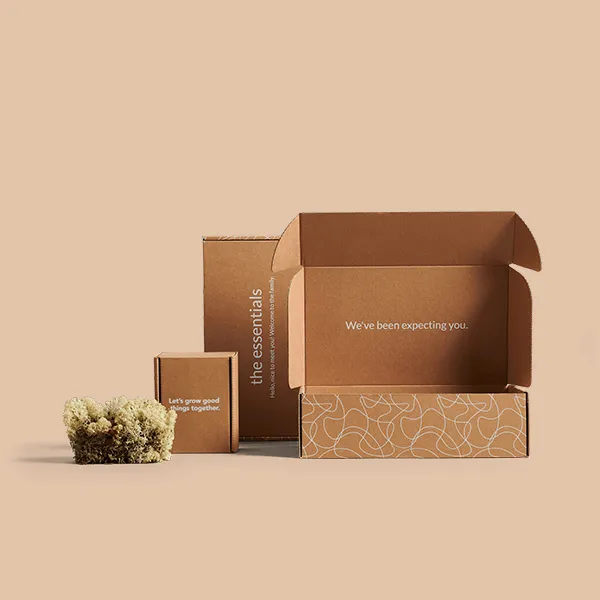 Wholesale Kraft Retail Boxes