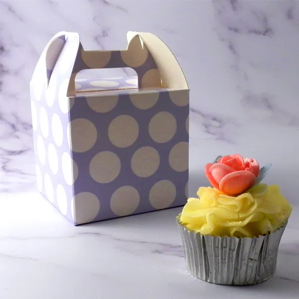 individual mini cupcake boxes